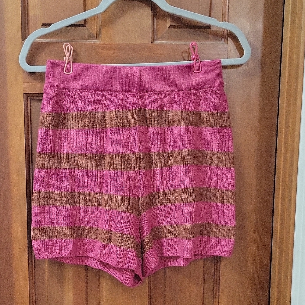 Free People Beach Striped Pink and Brown Women's Shorts